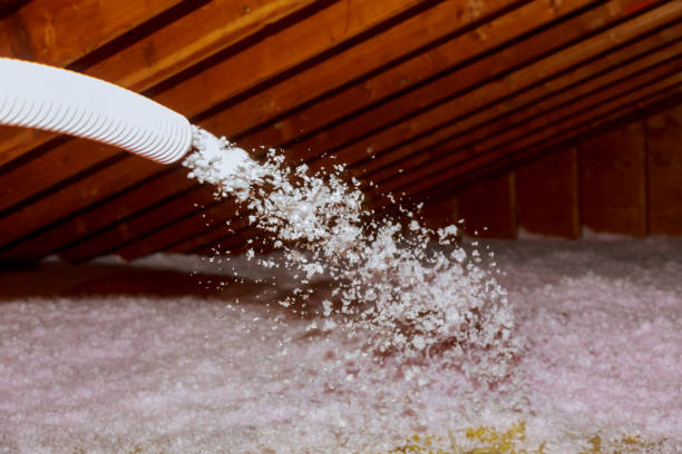 Best Eco-Friendly Insulation in Ashland, WI