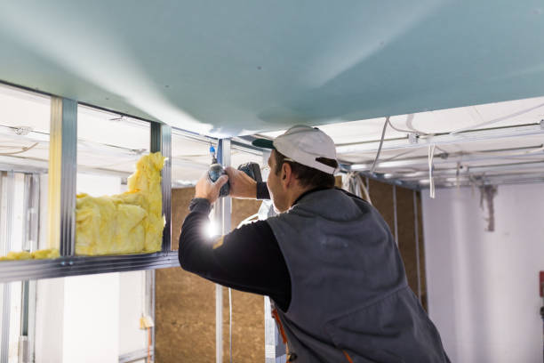 Best Geographic-Specific Insulation Services in Ashland, WI