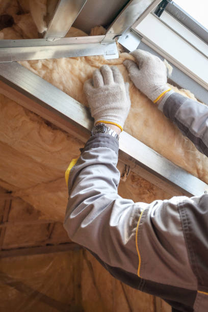 Best Geographic-Specific Insulation Services in Ashland, WI